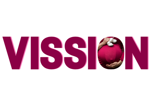 Vision