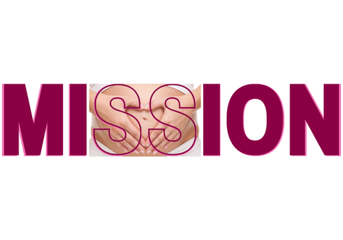 mission